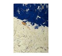 Snail Feed Snail Boost with Blue Spirulina 150 g Land Snail Feed, Snail Lime Mix with Natural Substances for Building Snail Shells