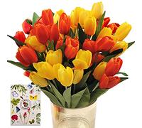 SNAIL GARDEN Set of 36 Artificial Tulips with 2 Colours, Silk Tulips with 1 Greeting Card for Wedding, Home, Party, Festival, Floral Arrangements, Moving Gift (Red/Yellow)