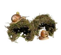 Snail Hideout for Pet Land Snails Snail Mansion - Natural Sphagnum Moss Shelter with Non-Toxic Plastic Core | Humid Hiding Spot for Snail Terrariums | Soft, Shell-Safe & Eco-Friendly Snail House