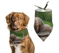 Snail on Wooden Railing Dog Bandana Triangle Dog Scarf Washable Polyester Dog Bibs Cute Pet Bandana for Medium Large Dogs Puppy and Cats