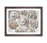Snail Shells 3 Modern BG Framed Print | A2 Walnut Framed Wall Art | Ready to Hang | Modern Nature Picture | Living Room Bedroom Lounge Office