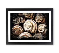 Snail Shells 3 Modern CB Framed Print | A2 Black Framed Wall Art | Ready to Hang | Modern Nature Picture | Living Room Bedroom Lounge Office