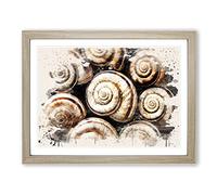 Snail Shells 3 Modern FC Framed Print | A4 Oak Framed Wall Art | Ready to Hang | Modern Nature Picture | Living Room Bedroom Lounge Office