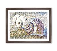 Snail Shells Modern BG Framed Print | A3 Walnut Framed Wall Art | Ready to Hang | Modern Nature Picture | Living Room Bedroom Lounge Office