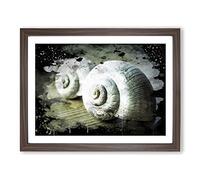 Snail Shells Modern CB Framed Print | A2 Walnut Framed Wall Art | Ready to Hang | Modern Nature Picture | Living Room Bedroom Lounge Office
