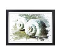 Snail Shells V3 Framed Print | A2 Black Framed Wall Art | Ready to Hang | Modern Nature Picture | Living Room Bedroom Lounge Office