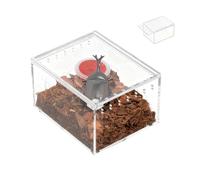 Snail Terrarium - 10.5 x 8.5 x 6 cm Reptile Enclosure, Habitat, Clear Acrylic Animal Display Box | Sturdy Storage of Exotic Pets During Daily Care in Caught