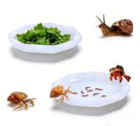 Snail Water Dish for Land Snails Pet Snails Water Bowl Silicone Snails Feeder DishSnail Calcium Bowl (White, 2 Pcs)