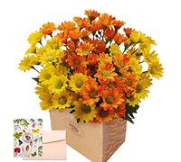SNAILGARDEN Artificial Daisy Flower,84 Heads Faux Silk Wildflowers,Plastic Fake Daisy Flowers Bouquet for Farmhouse Garden Indoor Outdoor Decoration Table Centerpieces（Yellow Orange）