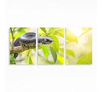 Snake Diamond Art Kits Adults Beginner 16x24Inch 3 Pack, Animal Diamond Painting, 5D DIY Full Drill Paint by Numbers, Wall Art Gems Paintings for Bedroom Office Room Decor Gifts for Women PZSH-2554