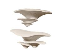 Snake Enclosure Decor,Adhesive 3D Mushroom Ornaments | Artificial Frog House Decorations - for Geckos Lizards Snakes Bearded Dragon Crab Pet Crickets Spiders Breeding