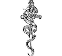 Snake Herbal Juice Tattoo Stickers Waterproof, Long-Lasting, Non-Reflective, High-Grade Tattoo Stickers
