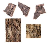 Snake Hide, Tortoise Enclosure, Cork Bark Reptile Accessories, Natural Tree Bark for Leopard Gecko and Small Pets, Create Natural Climbing Structures and Secure Hiding Spots, 10 by 15 cm