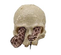 Snake Hideout, Reptile Aquarium Skull Decor, Resin Skeleton Head Fish Hide, Tank Terrarium Accessories, Reptile Hides and Caves for Fish Bearded Dragon Ball Python Leopard Gecko 4.7 × 3.5 × 3.7 Inch