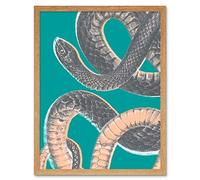 Snake Illustration Modern Biodiversity Art Print Framed Poster Wall Decor 12x16 inch