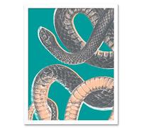 Snake Illustration Modern Biodiversity Art Print Framed Poster Wall Decor 12x16 inch