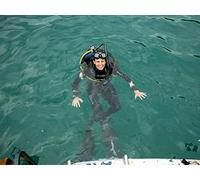 Snake Island: Strikes Back