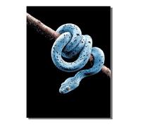 Snake Paint by Numbers for Adults, Paint by Numbers Animal, Easy Diy Oil Painting Kits on Canvas with Brushes, Hobbies for Women, Painting for Home Wall Decor Gifts 24x32 inch KSWWK899