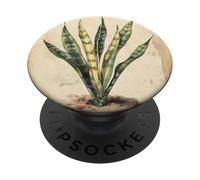 Snake Plant Vintage Scientific Illustration Plant PopSockets Adhesive PopGrip