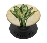 Snake Plant Vintage Scientific Illustration Plant PopSockets Adhesive PopGrip