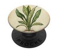 Snake Plant Vintage Scientific Illustration Plant PopSockets Adhesive PopGrip