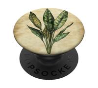 Snake Plant Vintage Scientific Illustration Plant PopSockets Adhesive PopGrip