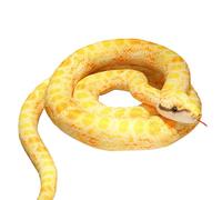 Snake Plush 110cm - Giant Plush Stuffy | Realistic Constrictor | Soft Toy Snake, Home Play Companion, Halloween Party Decoration Of Fun Gift For Kids Adults With Living Room Display