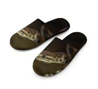 Snake Reptile Slippers Women Winter Warm Cotton Hotel Slippers Anti-Slip Bedroom Slip-Ons Shoes 40-41_(9-10)