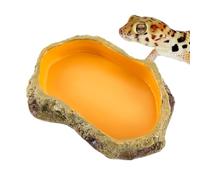 Snake Water Dish Safe Multi-functional Reptile Terrarium Feeding Bowl