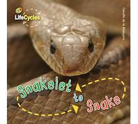Snakelet to Snake (12) (LifeCycles)