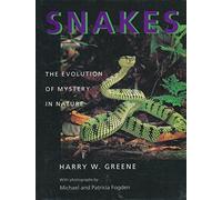 Snakes - The Evolution of Mystery in Nature