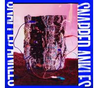 Snapped Ankles Forest of Your Problems (Vinyl) 12" Album