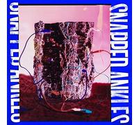 Snapped Ankles - Forest of Your Problems (the Protester Edt. Forest Floor Mixed Vinyl Colour) [VINYL]