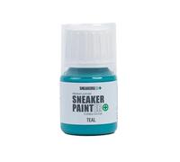 Sneakers ER Premium Leather Shoe Paint - 30ml Flexible Sneaker Paints for Repair, Restore, and Customising Footwear (Teal, 30ml)