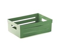 Snips, AMBIENTE, Multi-purpose Box, Multi-purpose Organizer, Large Box, 5 L, Green Color, 29.5 x 19.5 x 10 cm, Made in Italy