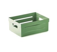Snips, AMBIENTE, AMBIENTE, Multi-purpose Box, Multi-purpose Organizer, Smal Box, 2 L, Green Color, 20 x 15 x 8,5 cm, Made in Italy