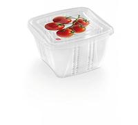 Snips Food Classic Fresh Container 1 Liter Square, Multi-Color, One Size