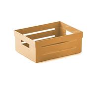 Snips Multipurpose Box, Multipurpose Organiser, Multipurpose Container Smal Box, 2 L, Mustard Color, 20 x 15 x 8,5 cm, Made in Italy