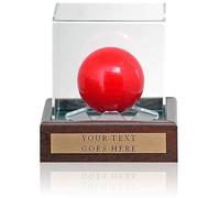 Snooker Display Case 10x10x10cm with Custom Plaque with words of your choice**