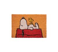 Grupo Erik Door Mat Snoopy | 15.7 x 23.6 inches - 40 x 60 cm Coco Coir, Coconut Coir, Indoor Door Mat & Outdoor Door Mat | Peanuts Snoopy Gifts For Women