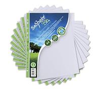 Snopake A4 Bio2 Punched Pockets [Pack of 100] Recyclable and Biodegradable Filing Sleeves [15440]