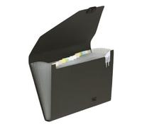 Snopake Expanding Organiser