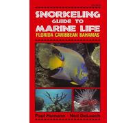 Snorkeling Guide to Marine Life: Florida, Caribbean, Bahamas
