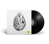 Snorri Hallgrmsson - The Importance of Birds [VINYL]