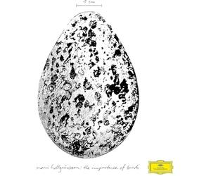 Snorri Hallgrmsson - The Importance of Birds [VINYL]