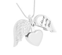 Snorvixre Winged Heart Pet Keepsakes Necklace Cremation Jewelry to Carry Loved Ashes Close Ashes Necklace