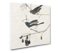 Snow Birds by John James Audubon Canvas Print | Gallery Wrapped 30mm Frame Wall Art | 20x20 inches | Ready to Hang | Modern Landscape Picture | Living Room Bedroom Lounge Office