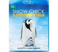 Snow Chick - A Penguin's Tale