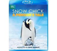Snow Chick A Penguins Tale BBC