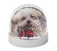 Snow Dome with Metallic Base (Grey Plastic)